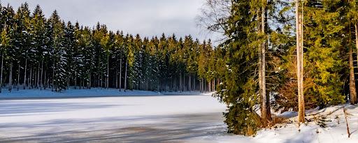 kanada3.jpg