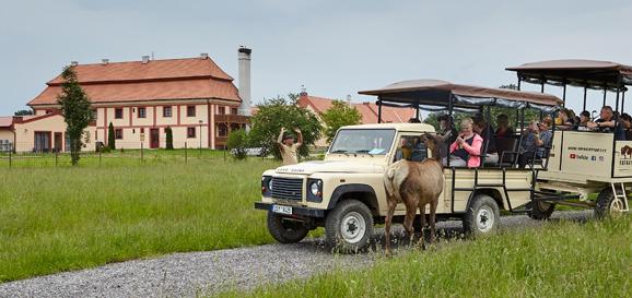 offroad-safari-banner2-1.jpg