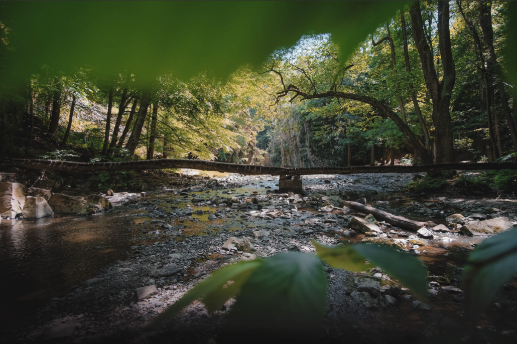 L&aacute;vka přes Zbirožsk&yacute; potok Autor: Kamila Kohoutov&aacute;