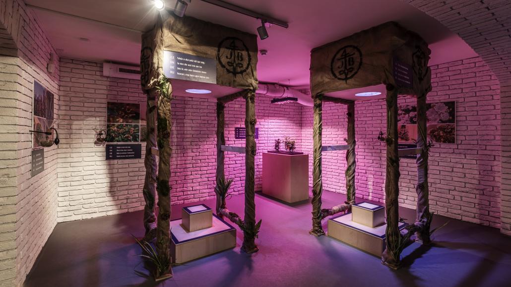 visitor-centre-cellars-navstevnicke-centrum-interaktivni-expozice-sklepy.jpg